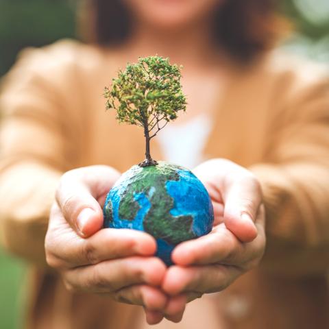 women and climate action 