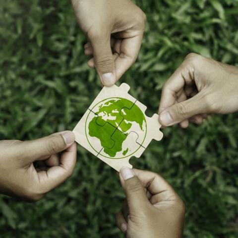 green & good 
