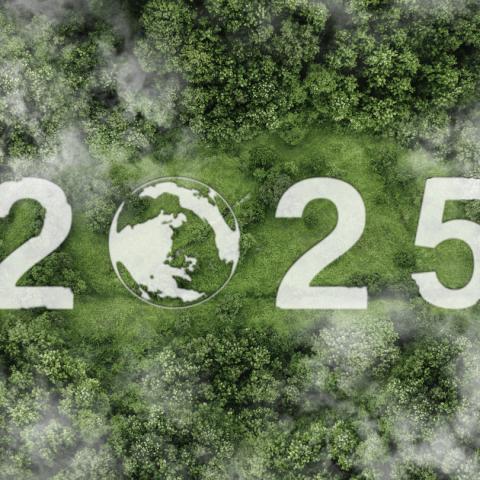 Shot of '2025' from earth 