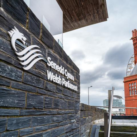 The Senedd