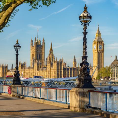 parliament 