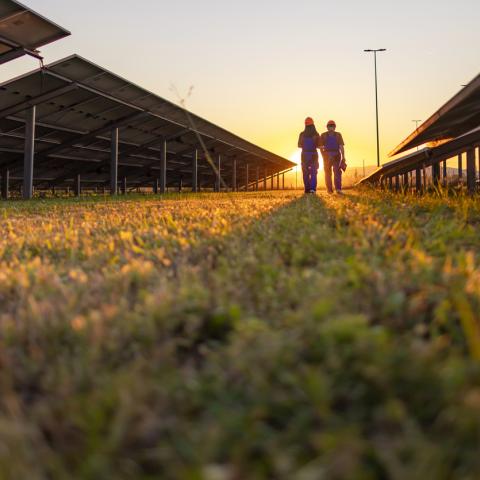 solar farm sunset