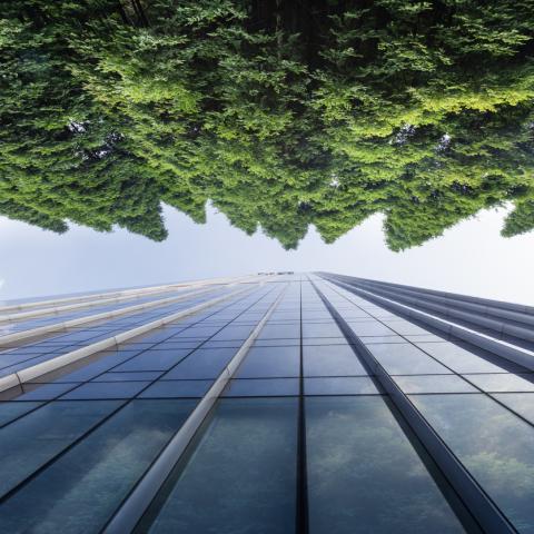 green finance
