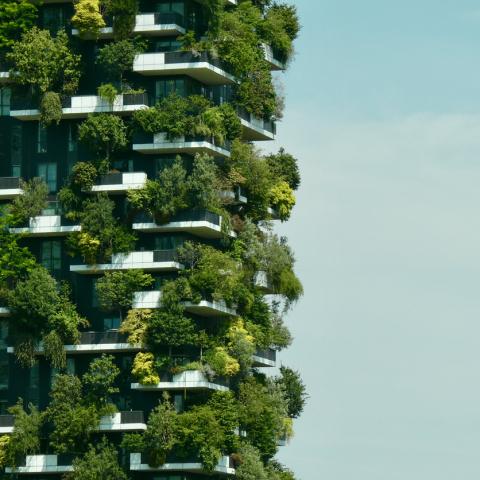 sustainable city 