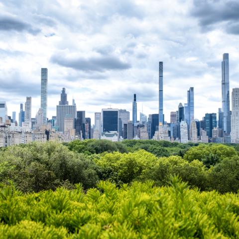 NYC from Central Park