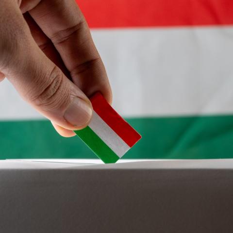 Hungarian flag in a hand