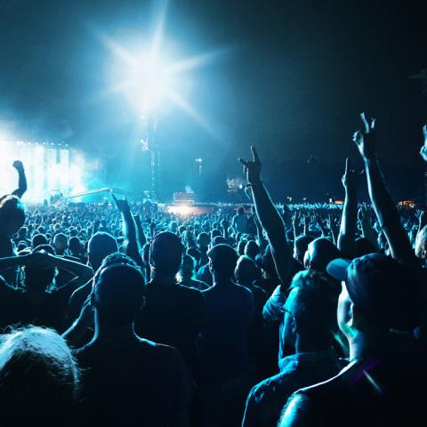 concert crowd