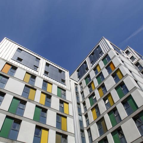 student housing 