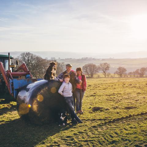 farming 