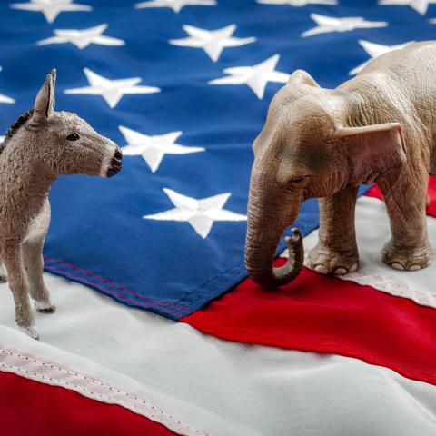 usa flag with political party animals