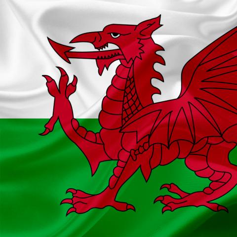 welsh dragon 