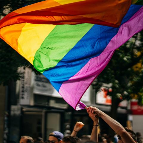 person waving pride flag