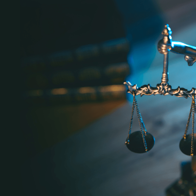 Crisis_Litigation