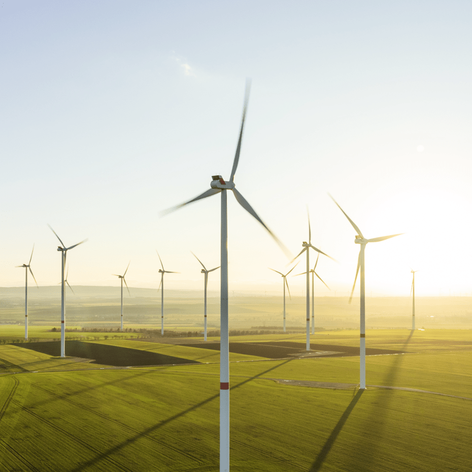 SEC Newgate Wind Farm Case Study general