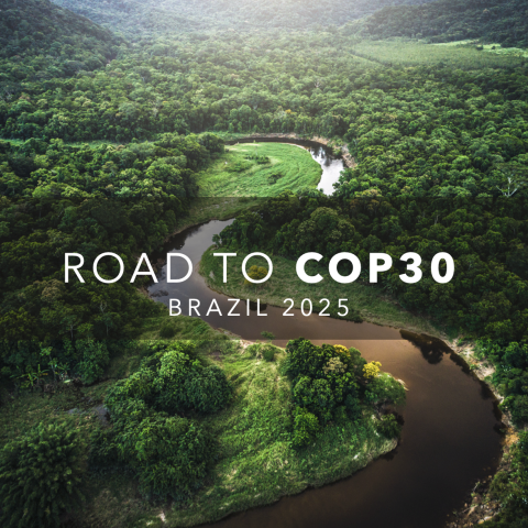 Road to COP30